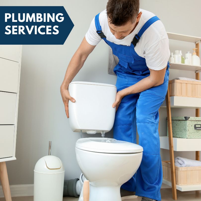Plumbing Company in Ophir, CO